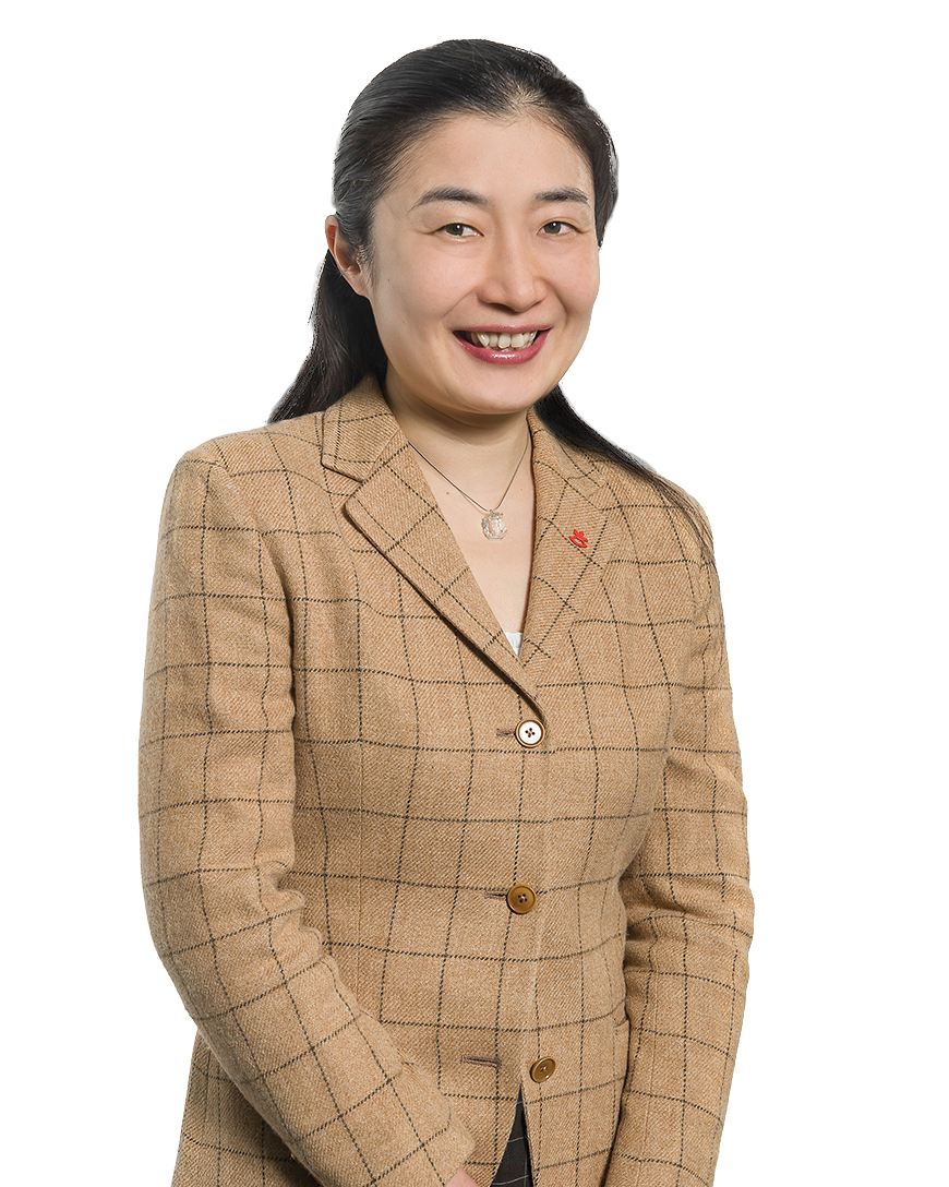 Repräsentant Japan